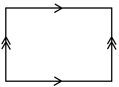 The fundamental polygon of a torus
